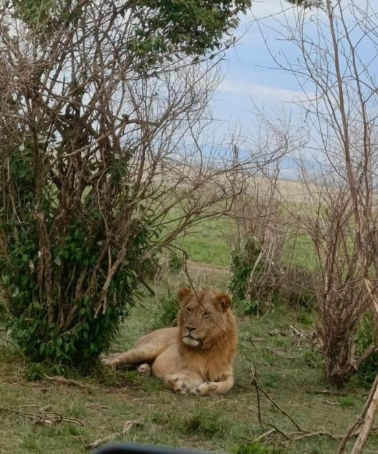 A 7-Day Safari Adventure Through Samburu, Mt. Kenya, and the Masai Mara